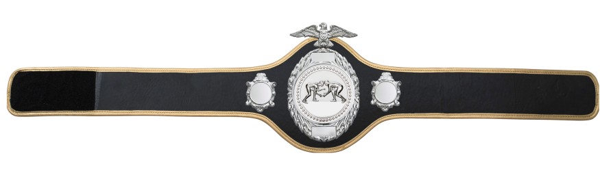 GRAPPLING CHAMPIONSHIP BELT - PRO288/S/GRAPS - 10 COLOURS GRAPPLING CHAMPIONSHIP BELT - PRO288/S/GRAPS - 10 COLOURS
